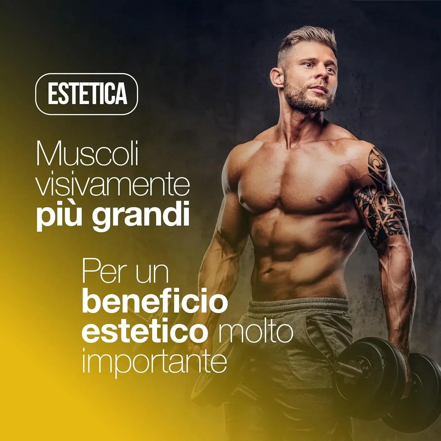 Comprimés de créatine monohydrate 3000 mg, alternative aux capsules, 120 vegan |   Formule micronisée, remplace les poudres et les pilules. Utile pour la performance physique et la masse musculaire. Fabriqué en Italie. – photo 4