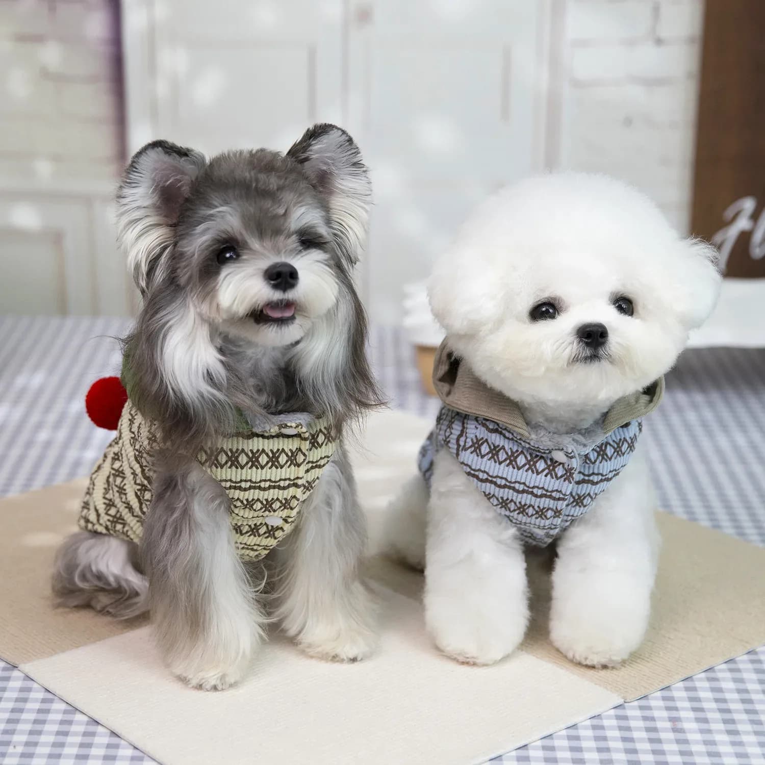 Vêtements d'hiver pour chiens, vêtements chauds pour petits chiens, costume pour chiot, tenue pour bouledogue français, manteau imperméable, vêtements pour chihuahua – photo 2