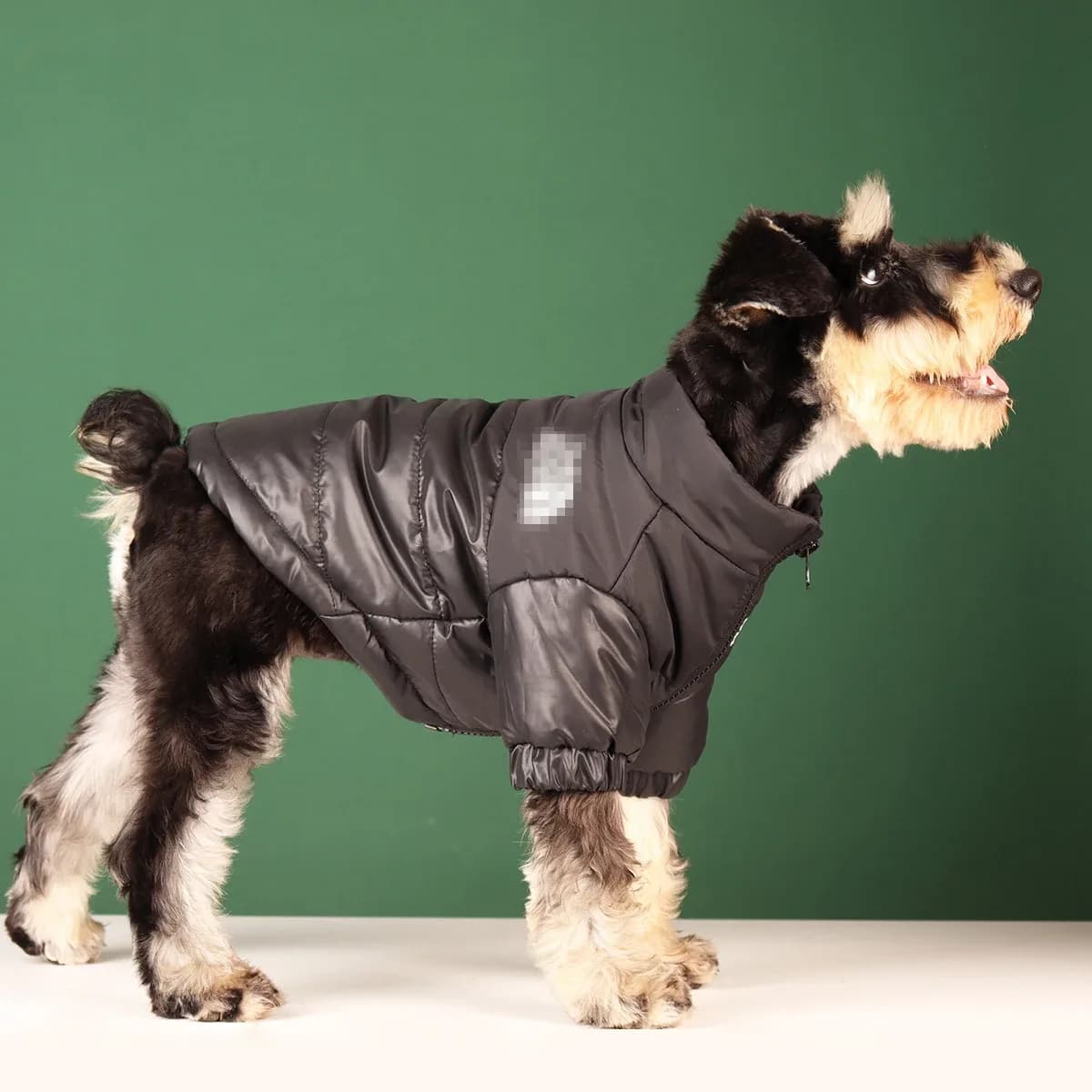 Vêtements d'hiver pour chien de grande taille, veste coupe-vent chaude pour chiot bouledogue français, manteau réfléchissant pour chien de petite et moyenne taille, tenues pour animaux de compagnie Chihuahua – photo 5
