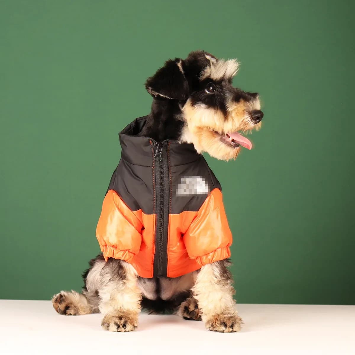 Vêtements d'hiver pour chien de grande taille, veste coupe-vent chaude pour chiot bouledogue français, manteau réfléchissant pour chien de petite et moyenne taille, tenues pour animaux de compagnie Chihuahua – photo 6