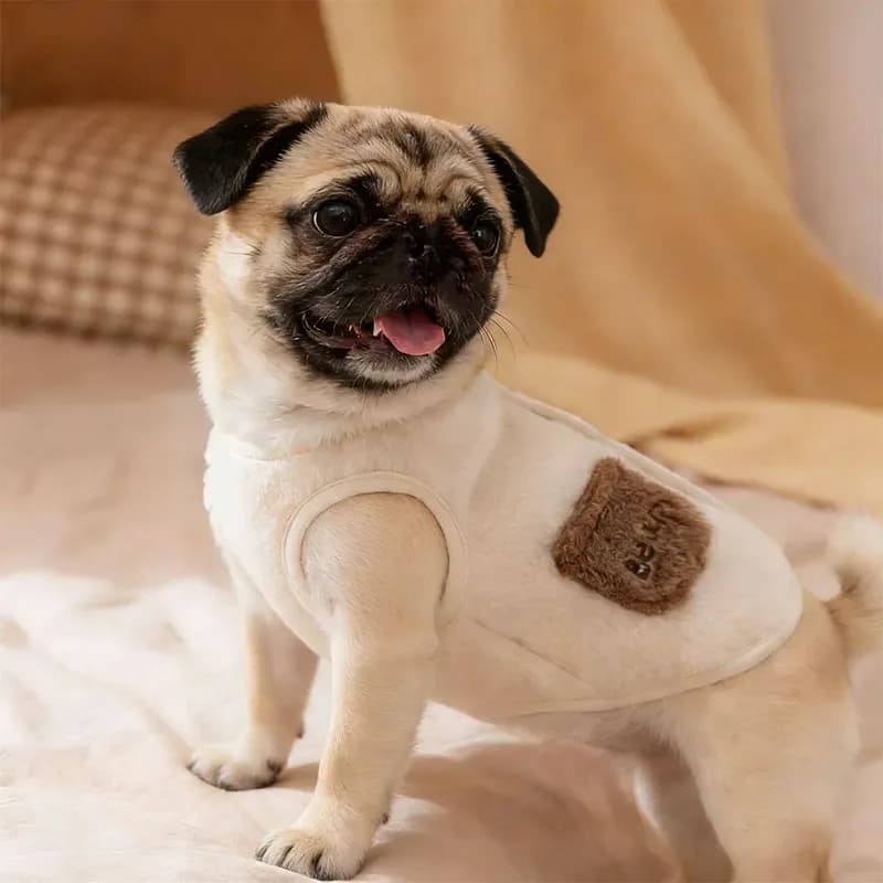 Vêtements pour animaux de compagnie pour l'automne et l'hiver, vêtements mignons pour petits chiens, gilet en polaire pour l'automne, vêtements chauds pour chiots, vêtements pour chats – photo 3
