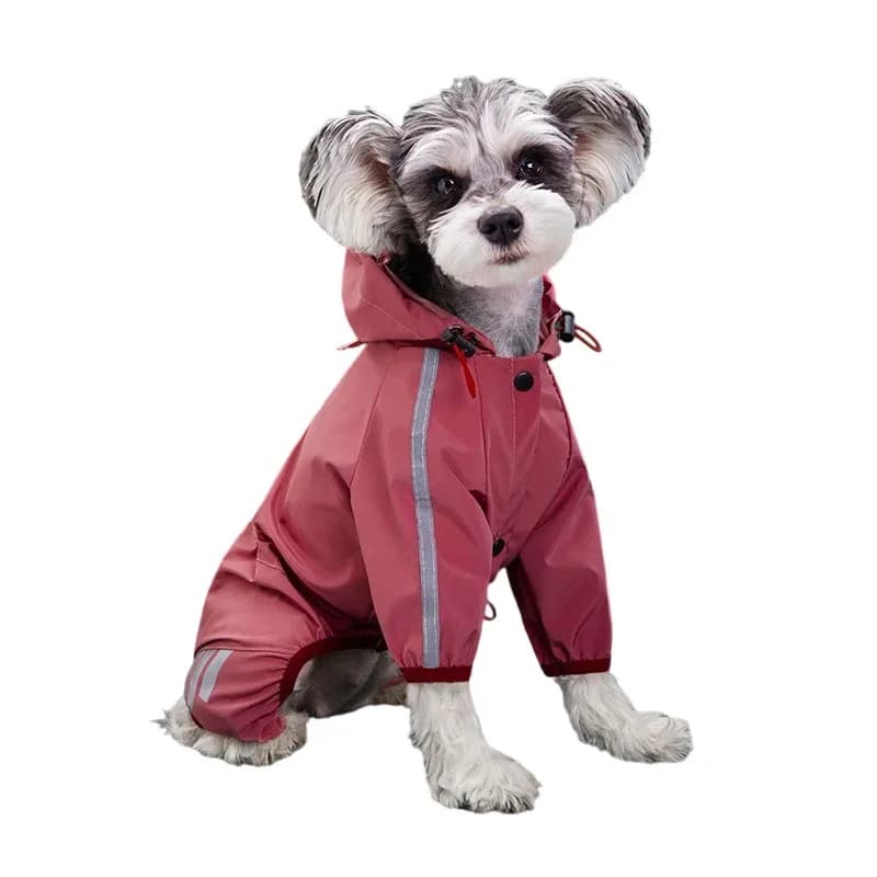 Imperméable Réfléchissant pour Chien – Vêtement de Pluie pour Animaux de Compagnie (Chihuahua, Malte) – Combinaison Imperméable pour Chiens de Petite et Moyenne Taille – Salopette de Pluie pour Chiens – photo 4