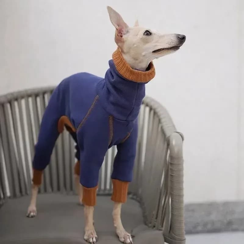 Vêtements chauds en peluche pour animaux de compagnie, col haut, quatre pattes, légèrement élastique, Little Lingti Huibit, base chaude – photo 2