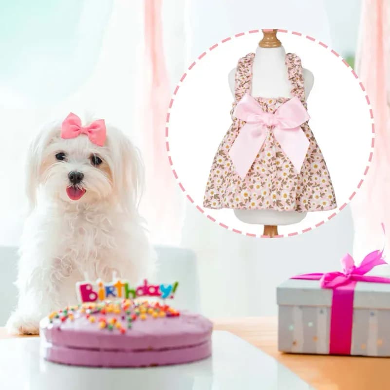 Robe pour chat, robe d'été pour chien, style romantique avec imprimé floral rose, vêtements pour petits chiens, vêtements pour animaux de compagnie, jupe pour chihuahua – photo 6