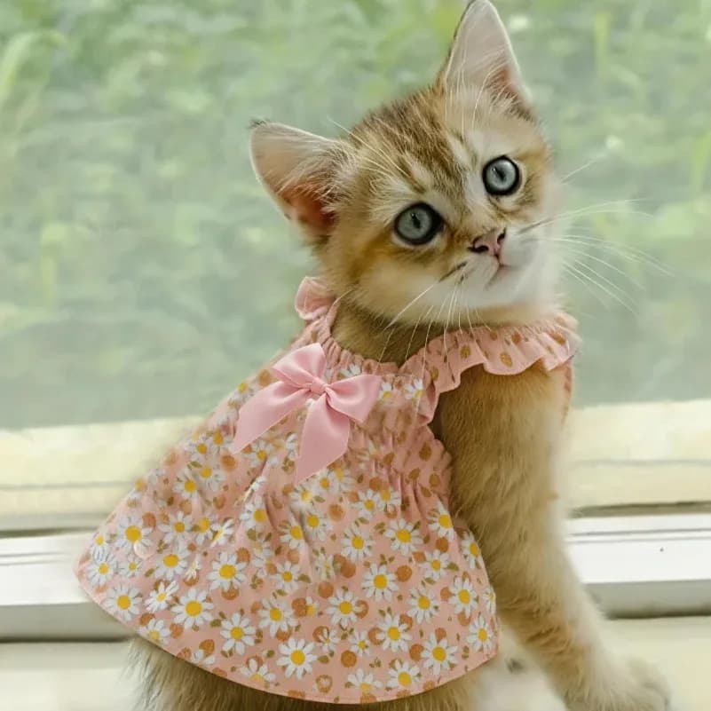 Robe pour chat, robe d'été pour chien, style romantique avec imprimé floral rose, vêtements pour petits chiens, vêtements pour animaux de compagnie, jupe pour chihuahua