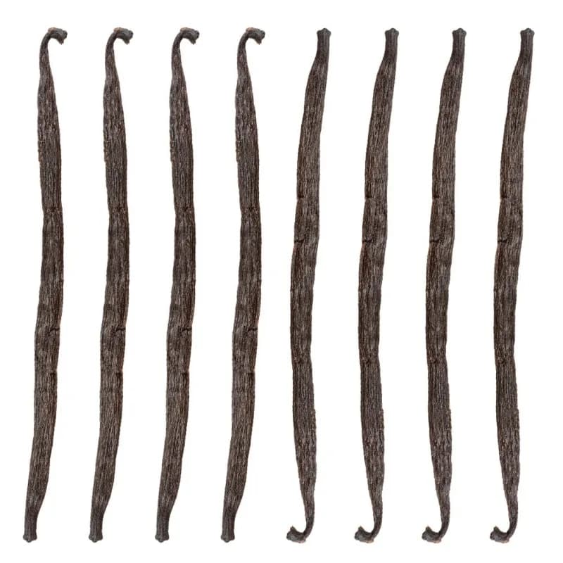 Gousses de vanille 13-16 cm (8 pièces)