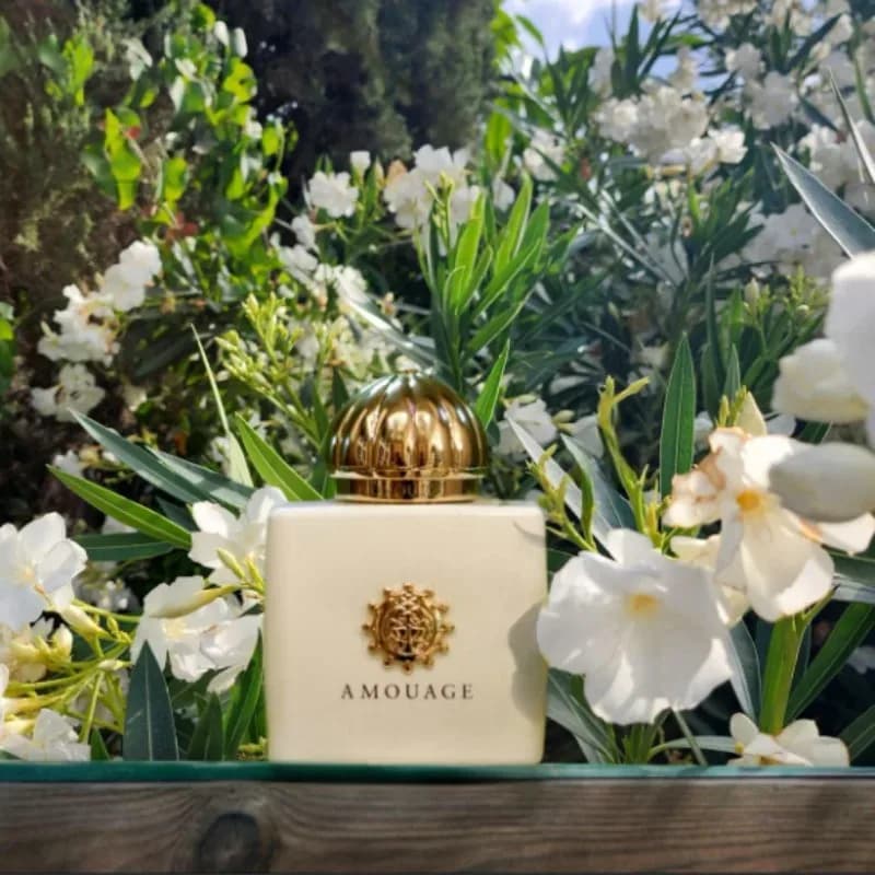 AMOUAGE 100ml Eau de Parfum pour Femme Guidance 46 Parfum Floral Oriental Chypre Longue Durée Élégant Luxueux Parfum Signature – photo 4