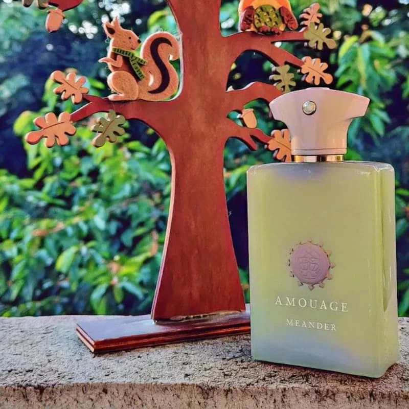 100ml AMOUAGE GUIDANCE 46 Parfum Oriental Boisé Floral Épicé Longue Durée Collection de Parfums de Luxe Élégants – photo 4