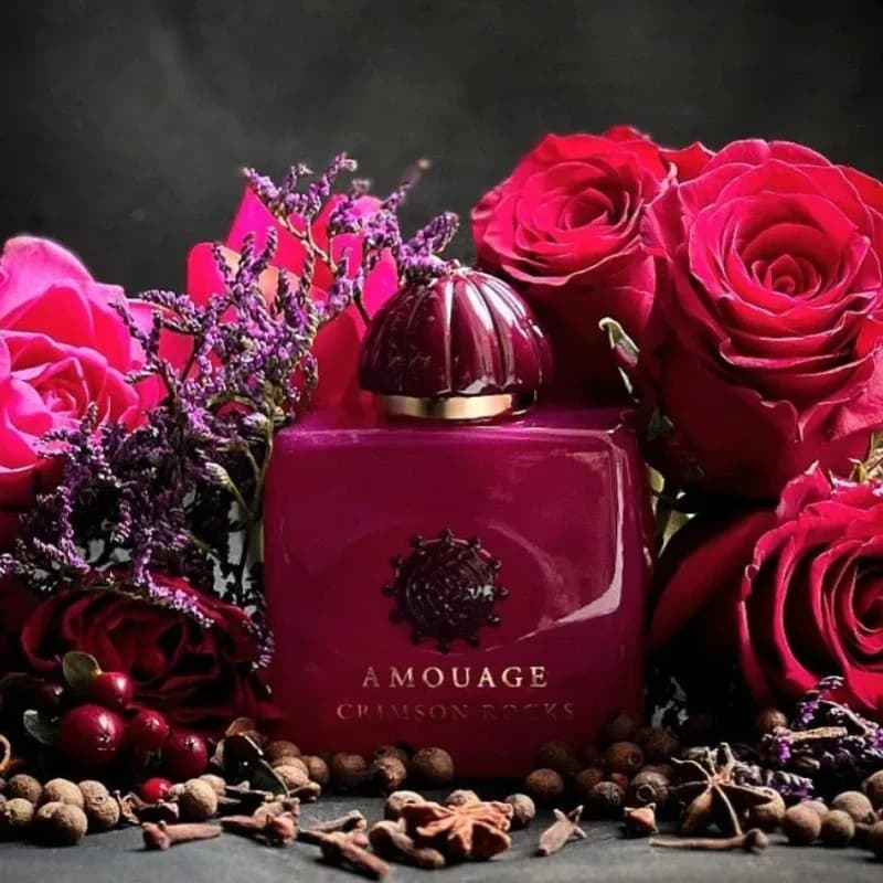 100ml AMOUAGE GUIDANCE 46 Parfum Oriental Boisé Floral Épicé Longue Durée Collection de Parfums de Luxe Élégants – photo 2