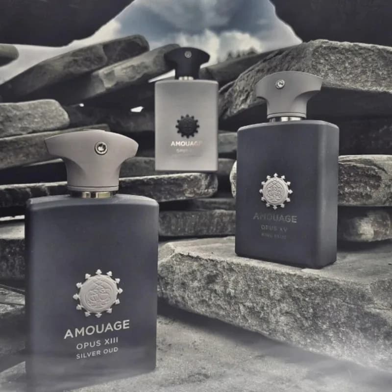 AMOUAGE 100ml Parfum pour homme, Eau de Parfum longue durée, senteur boisée orientale aromatique, Cologne fraîche et chaude de luxe, cadeau élégant – photo 5