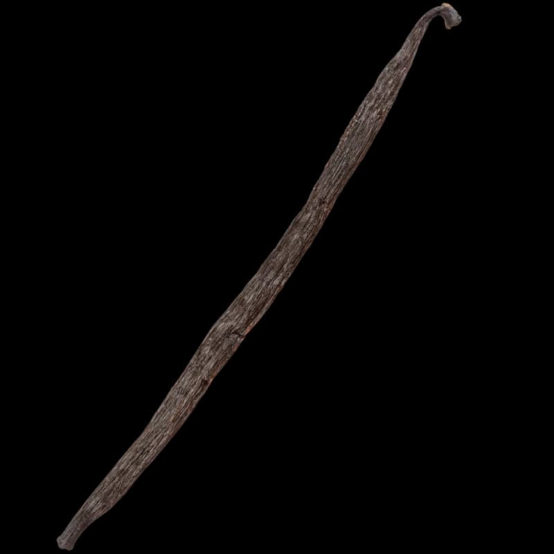 Gousse de vanille 13-16 cm (1 pièce)