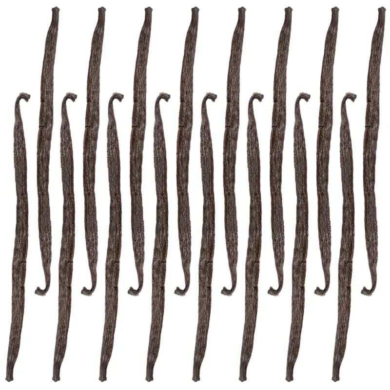 Gousses de vanille 13-16 cm (16 pièces)