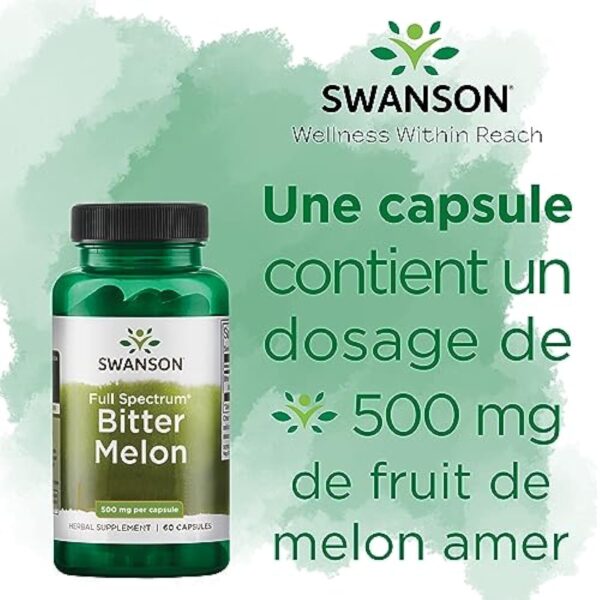 Swanson, Bitter Melon (Melon amer), 500mg, 60 Capsules, Hautement Dosé, Testé en Laboratoire, Sans Soja, Sans Gluten, Sans OGM – Image 6