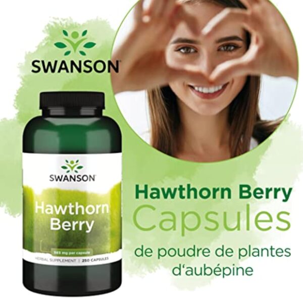 Swanson, Hawthorn Berry (Baies d'Aubépine), 565mg, 250 Capsules, Hautement Dosé, Testé en Laboratoire, Sans Soja, Sans Gluten, Sans OGM – Image 3