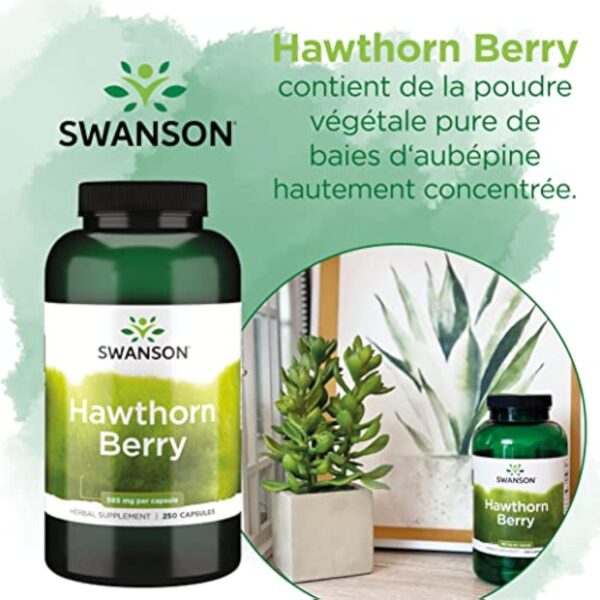 Swanson, Hawthorn Berry (Baies d'Aubépine), 565mg, 250 Capsules, Hautement Dosé, Testé en Laboratoire, Sans Soja, Sans Gluten, Sans OGM – Image 4