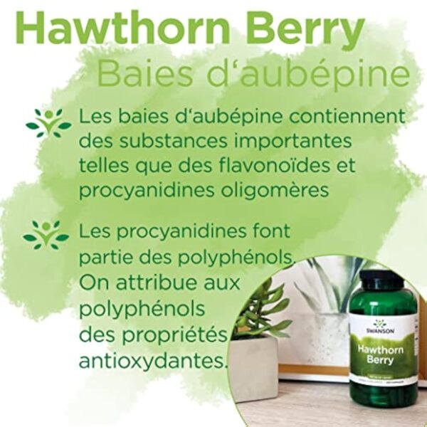 Swanson, Hawthorn Berry (Baies d'Aubépine), 565mg, 250 Capsules, Hautement Dosé, Testé en Laboratoire, Sans Soja, Sans Gluten, Sans OGM – Image 5