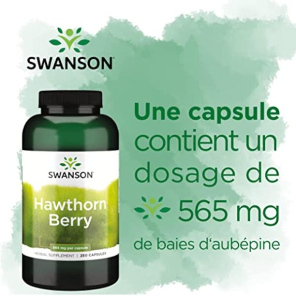 Swanson, Hawthorn Berry (Baies d'Aubépine), 565mg, 250 Capsules, Hautement Dosé, Testé en Laboratoire, Sans Soja, Sans Gluten, Sans OGM – Image 6