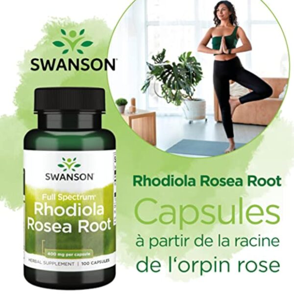 Swanson, Rhodiola Rosea Root (Extrait de Racine de Rose), 400mg, 100 Capsules, Hautement Dosé, Testé en Laboratoire, Sans Soja, Sans Gluten, Sans OGM – Image 3