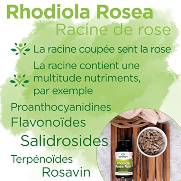 Swanson, Rhodiola Rosea Root (Extrait de Racine de Rose), 400mg, 100 Capsules, Hautement Dosé, Testé en Laboratoire, Sans Soja, Sans Gluten, Sans OGM – Image 5