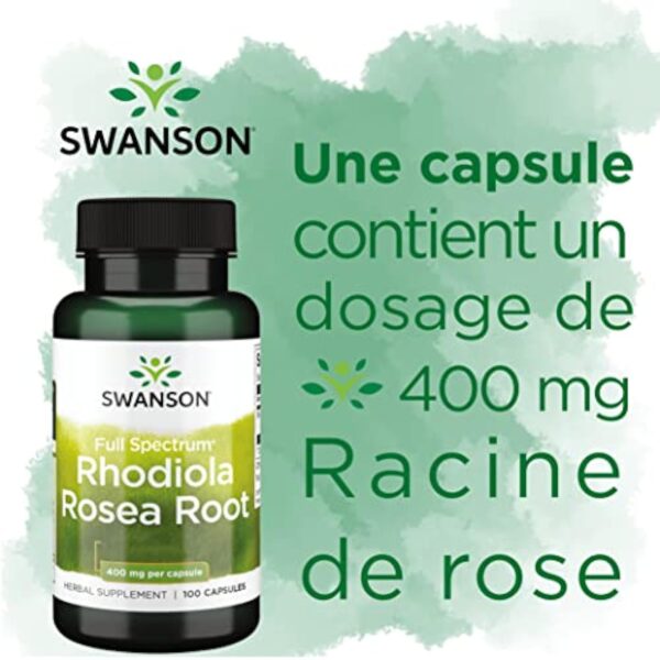 Swanson, Rhodiola Rosea Root (Extrait de Racine de Rose), 400mg, 100 Capsules, Hautement Dosé, Testé en Laboratoire, Sans Soja, Sans Gluten, Sans OGM – Image 6