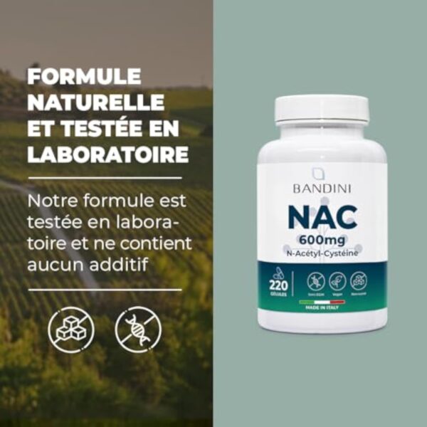 Bandini® NAC N-Acétyl-Cystéine 600mg - 220 Gélules (+7 Mois) Vegan - N-Acetyl-Cysteine Complément Antioxydant - Synthèse du Glutathion - N Acétylcystéine Biodisponible Absorption Rapide - Sans Gluten – Image 6