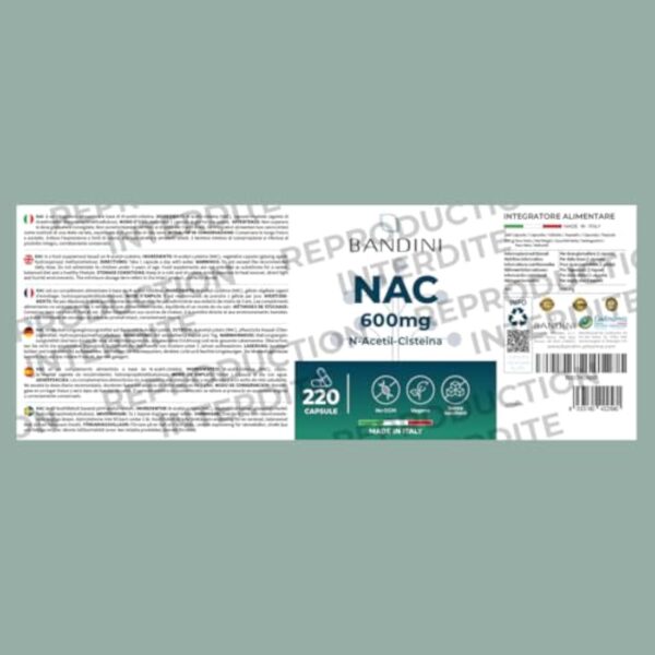 Bandini® NAC N-Acétyl-Cystéine 600mg - 220 Gélules (+7 Mois) Vegan - N-Acetyl-Cysteine Complément Antioxydant - Synthèse du Glutathion - N Acétylcystéine Biodisponible Absorption Rapide - Sans Gluten – Image 7