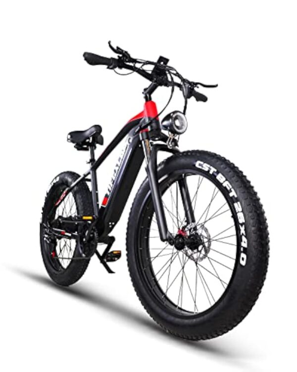 Lohang Vélo électrique Adulte, Moteur Haute fréquence sans balais, Batterie Amovible 48 V 18 Ah, portée maximale 45-90 km, pneus Tout Terrain 26 Pouces, vélo de Montagne Unisexe