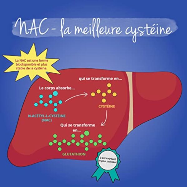 NAC N-Acetyl-Cysteine 600mg | Forme Pure : Haute Biodisponibilité | Sans Additifs | Antioxydant Puissant | 120 Gélules | VEGAN | Vegavero® – Image 6