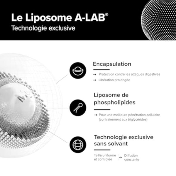 A-LAB Vitamine D3 Liposomale 2000 UI - Assimilation Renforcée - Complément Alimentaire Défenses Naturelles, Immunité, Musculaire - 60 gélules, 60 jours de prise - Fabriqué en France – Image 4