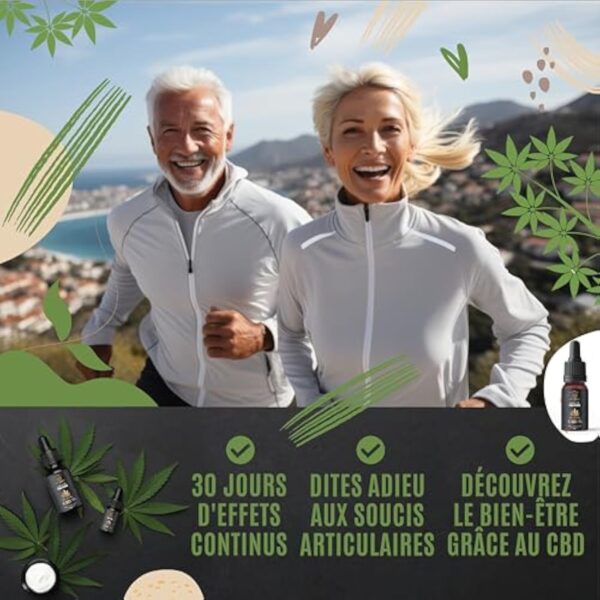 ARTISAM | Huile de CBD PURE H 20% Pressée à Froid | Huile de Graines de chanvre | Formule Premium Fabriquée en France | Sommeil Puissant | cdb Hemp Oil herbe puff hhc 10ml – Image 4