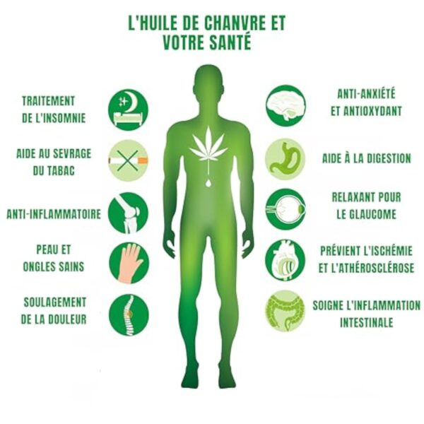 ARTISAM | Meilleur Huile de Graines de Chanvre Sativa PURE H 30% 3000mg Pressée à Froid 10 ml | Chanvre bio | Formule Premium Made in France Huile Sommeil Puissant Hemp Oil herbe puff fleurs infusion – Image 5