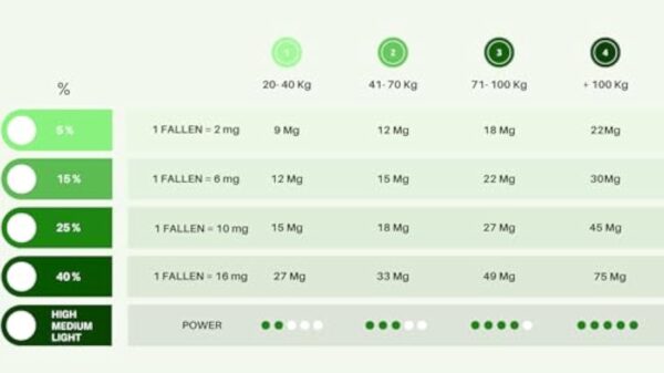 CBD | Huile cbd de chanvre | 40% 4000mg 10ML | À l'extrait de Menthe | Cbd Huile de chanvre | Fabriqué dans l'UE | 0% THC 400 gouttes | Huile de graines de cannabis.(Menthe, 10 ML) – Image 5