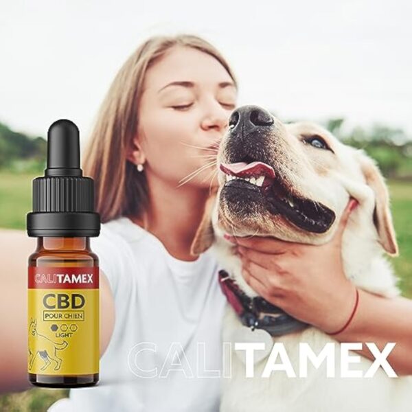 Calitamex | Huile de CBD pour Chien développée avec Vétérinaires | Certifiée comme sans THC | Chanvre d'agriculture Bio | Contient 400MG de CBD isolé dans Huile d'Algues et Noix de Coco MCT, 10ml – Image 3