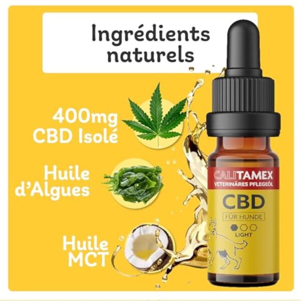 Calitamex | Huile de CBD pour Chien développée avec Vétérinaires | Certifiée comme sans THC | Chanvre d'agriculture Bio | Contient 400MG de CBD isolé dans Huile d'Algues et Noix de Coco MCT, 10ml – Image 7