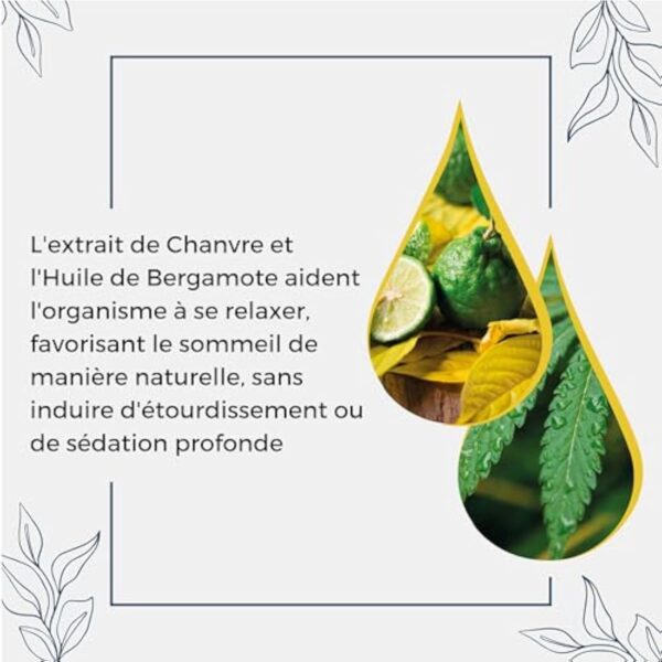 Hemp Phytomedical - Gouttes Naturelles CANA-B Night avec Chanvre et Bergamote pour un Sommeil Réparateur – Image 6