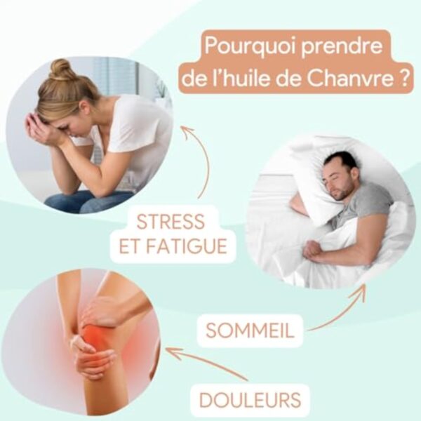 Huile de chanvre Bio | 100% graines de chanvre | Hemp oil | Haute qualité et efficacité | Conditionné en France – Image 4