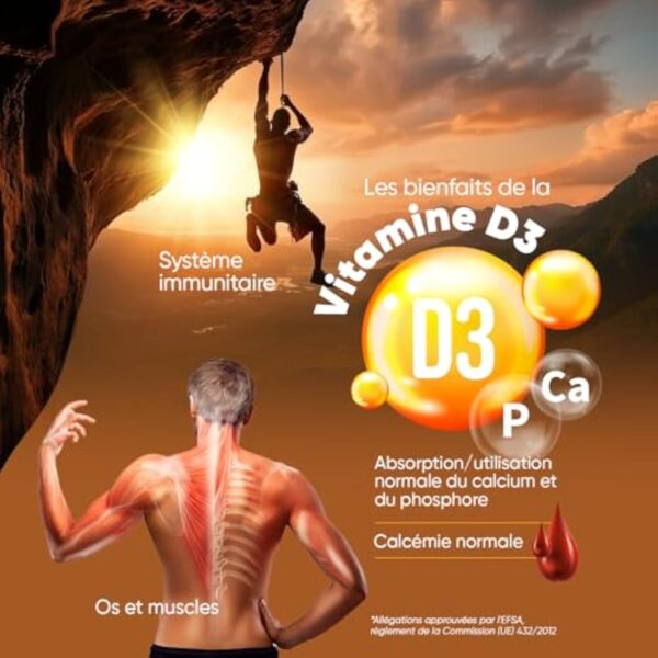 Vitamine D3 K2 Vegan (MK7) 98% ALL-TRANS MK-7-4000 UI Cholécalciférol + 125µg Ménaquinone - 240 Micro Comprimés - 1 Comprimé Tous les 2 Jours - Pour les Os, les Muscles & le Système Immunitaire – Image 4