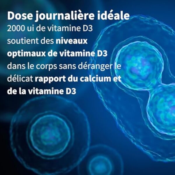 Vitamine D3 Quotidienne 2000 UI Cholécalciférol, Cure d’un an, 1 par jour. Défenses immunitaires, Soutient des os, dents et muscles. Végétarien - par Igennus – Image 4