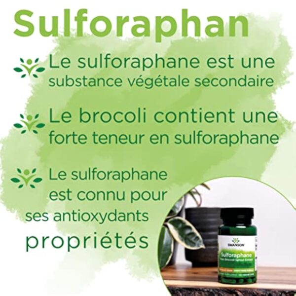 Swanson, Broccoli Sprout Extract (Extrait de Pousses de Brocoli), avec Sulforaphane, 60 Capsules végétaliennes, Testé en Laboratoire, Végétarien, Sans Soja, Sans Gluten, Sans OGM – Image 5